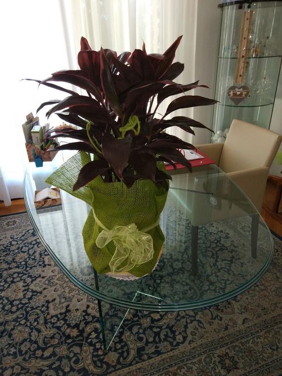 Marinella B&B Cornale Zewnętrze zdjęcie